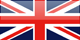 mini logo